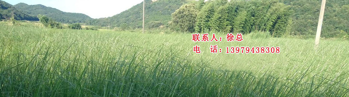項(xiàng)目現(xiàn)場(chǎng)