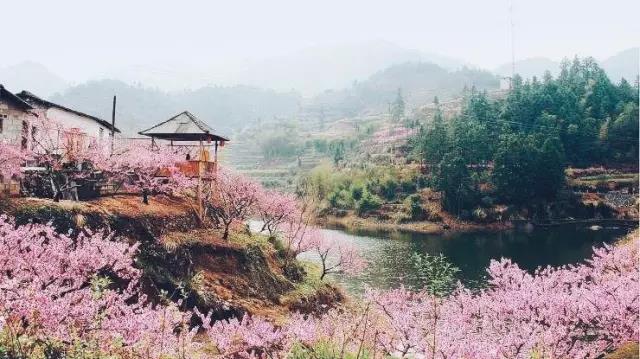 中國的桃花源和西方的烏托邦，是全人類的精神遺產(chǎn)